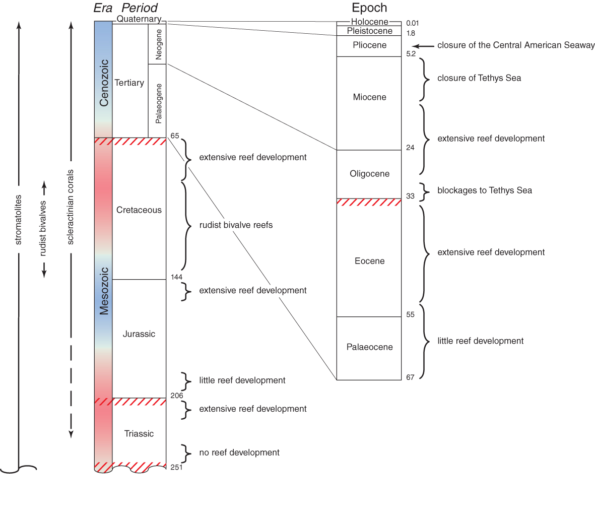 Mesozoic and Coenozoic geological time chart