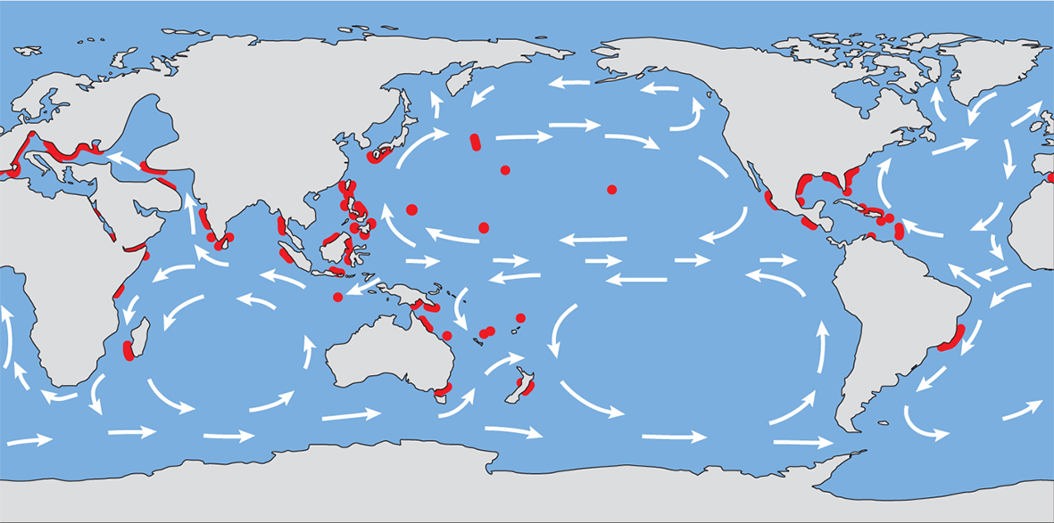 Late Miocene map